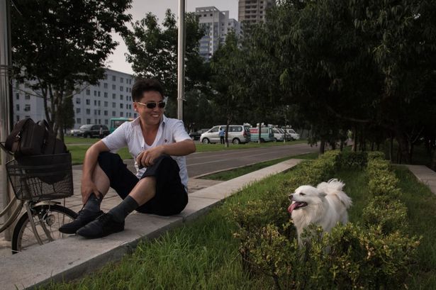“Son la decadencia de Occidente”: Corea del Norte decomisa perros para ser alimento en restaurantes y zoológicos