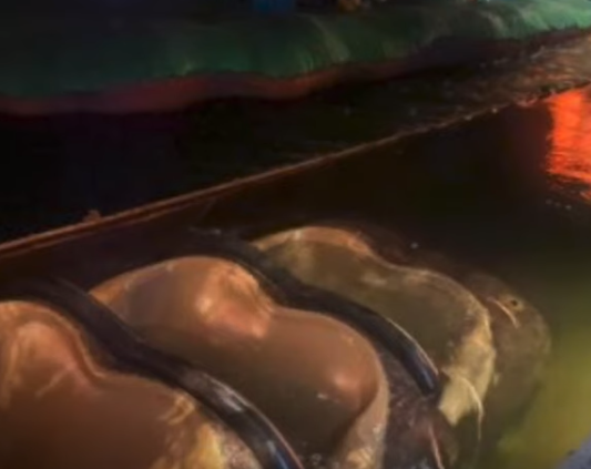 “Saltamos y comenzó a hundirse”: falla atracción acuática de Disney con visitantes adentro