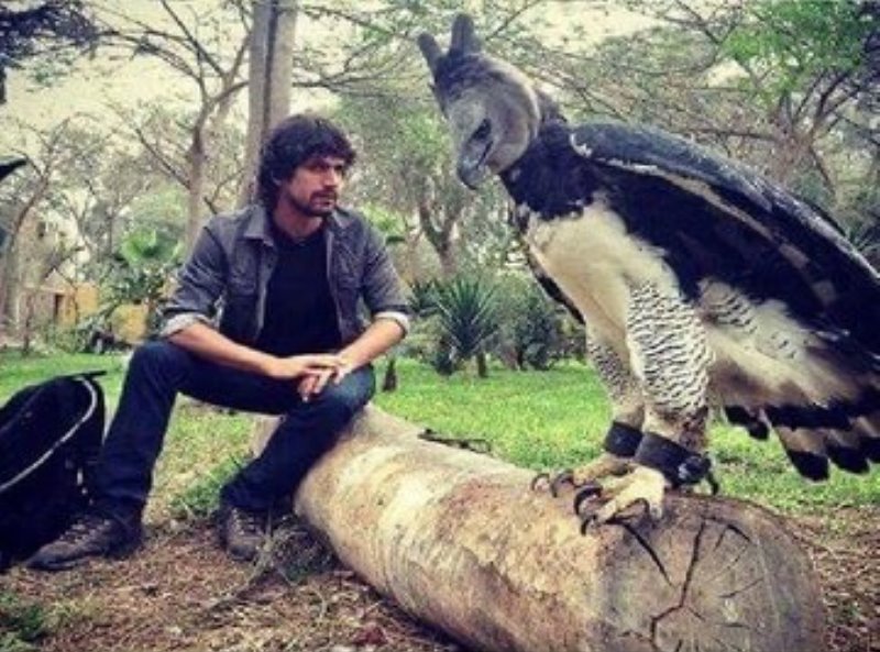 ¡Increíble! Foto viral de un enorme ave junto a un hombre es real