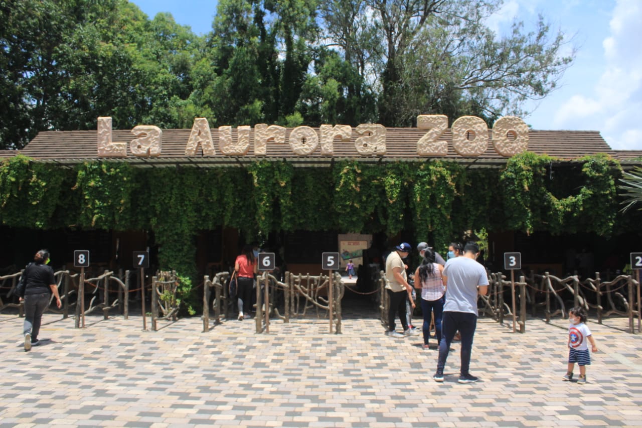 Reapertura zoológico La Aurora