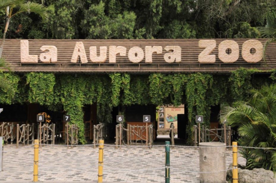 Zoológico La Aurora reanuda atención al público este martes y estos protocolos debe cumplir durante su visita