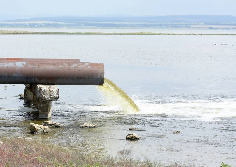 COVID-19: Cómo influye la pandemia en la calidad y gestión del agua