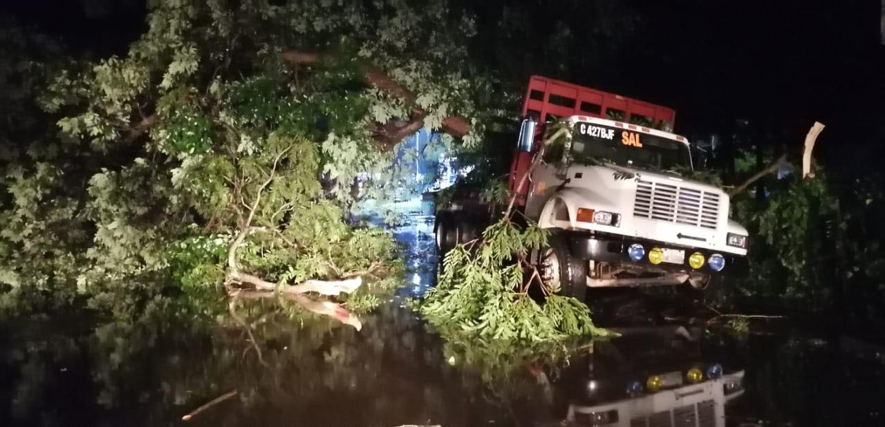 Fotos: Fuerte viento y lluvia causan estragos en Sipacate