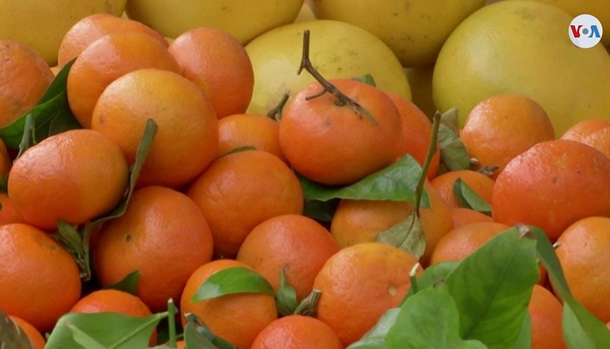 ¿Podrías infectarte de COVID-19 a través de los alimentos?