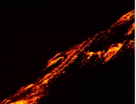 Conred mantiene monitoreo por actividad que registra el Volcán de Pacaya