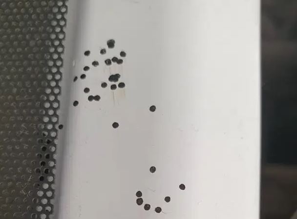 Mujer pidió consejos en Facebook para identificar manchas en su cocina y queda en “shock” al descubrir qué las causaba