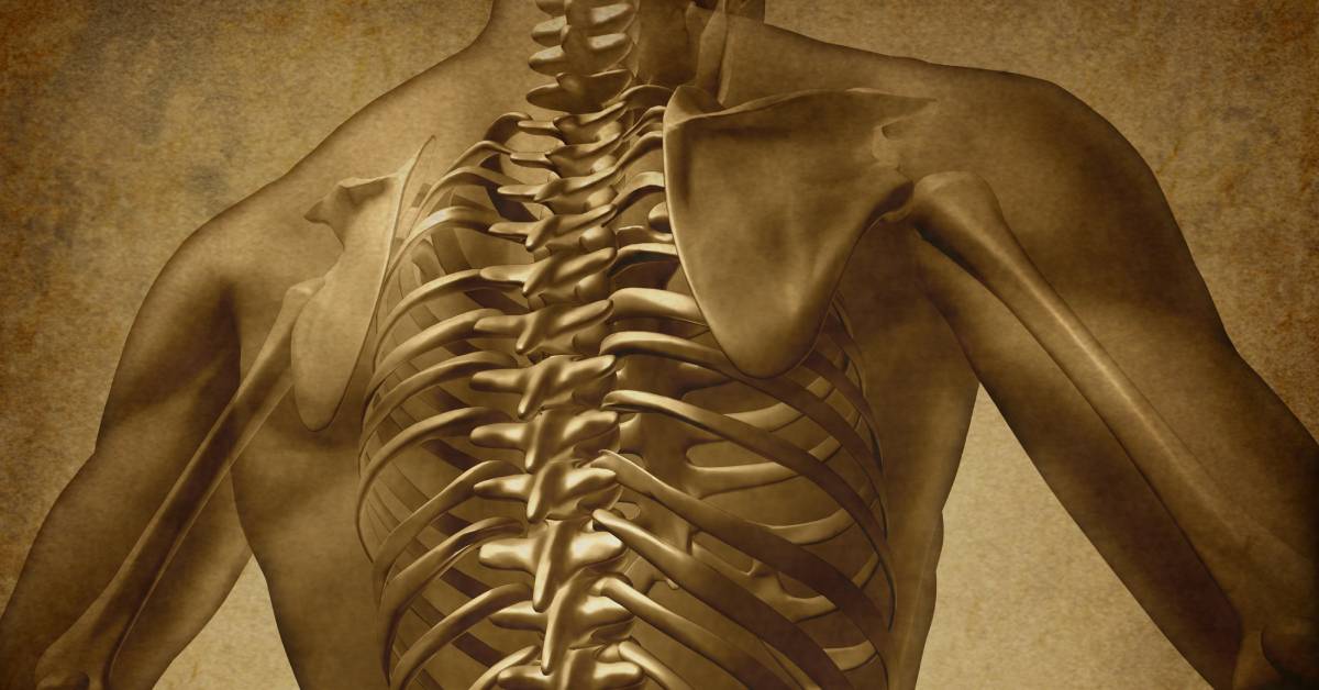 La mielitis transversa: el embotellamiento inflamatorio de la médula espinal
