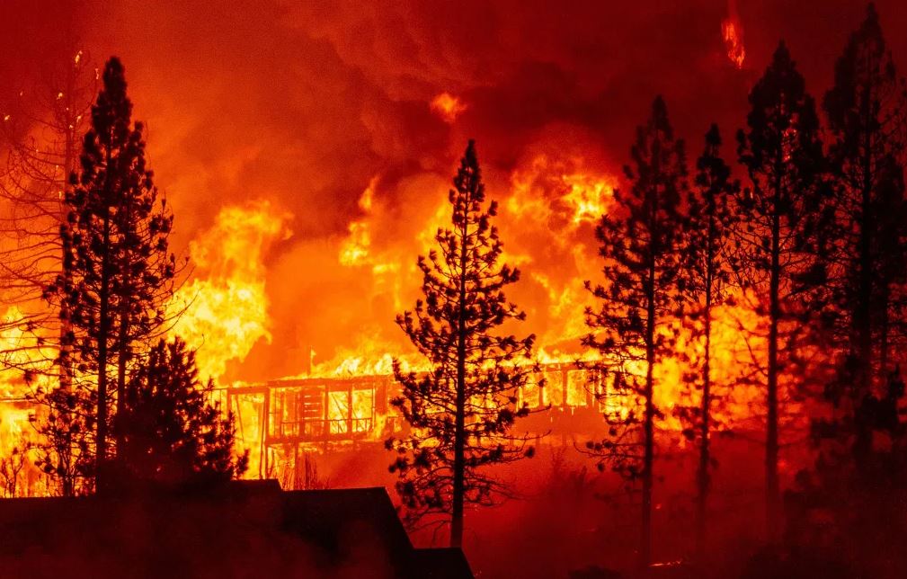 Pareja revela el sexo de su bebé con una bengala, pero esta causó un incendio en California