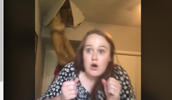 Video de TikTok capta el insólito momento en el que una mujer atraviesa el techo de su vivienda