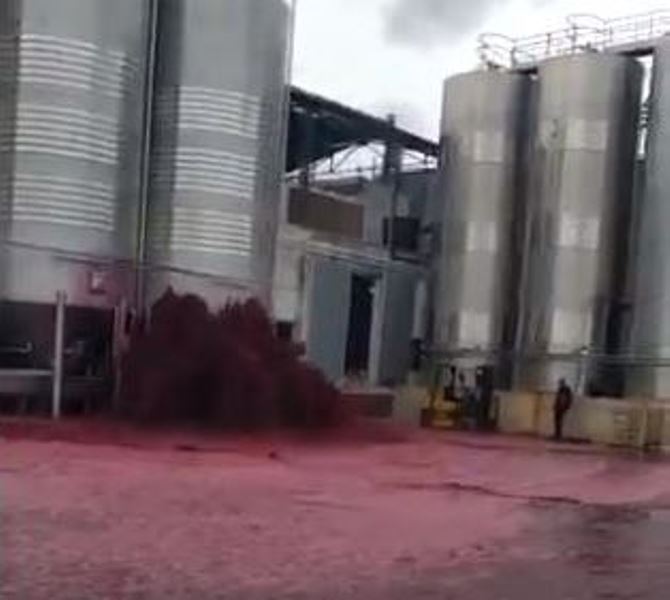 Video: ¡Qué desperdicio! Miles de litros de vino se derraman por accidente en planta de España