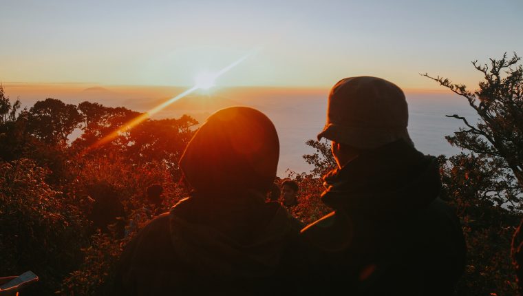 Incorporar suficiente vitamina D reduce 52% las probabilidades de morir a causa del coronavirus