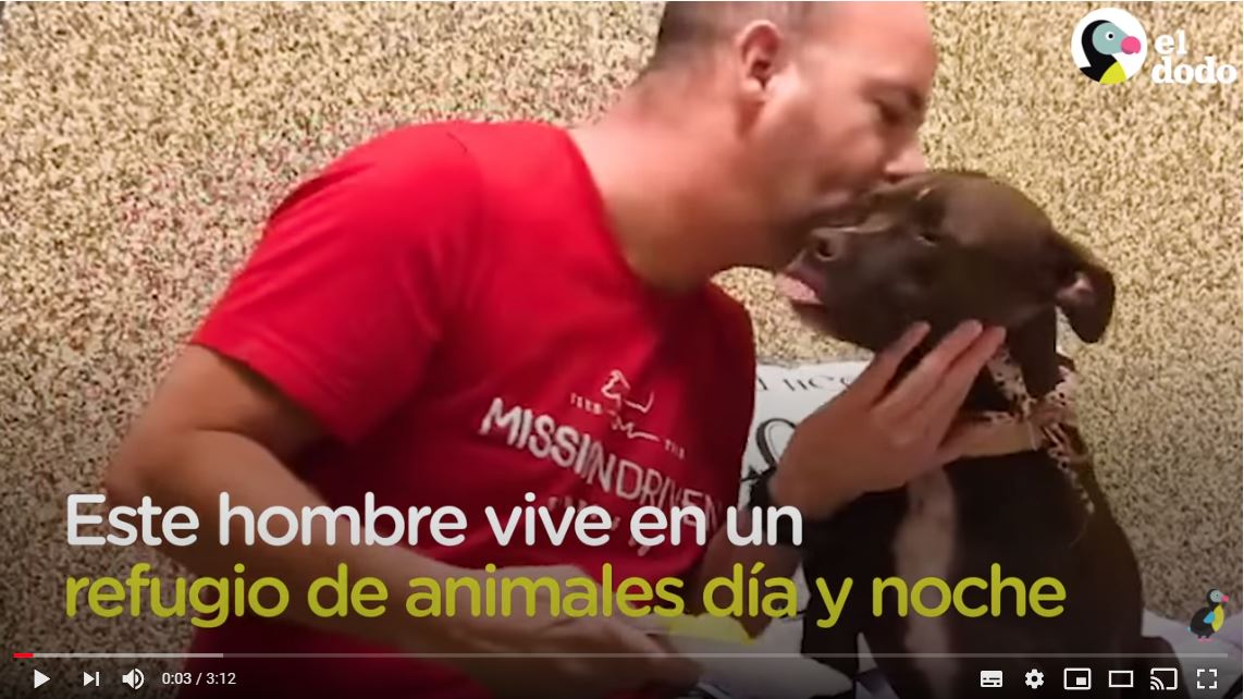 ¡Qué ternura! la historia de un hombre que decide mudarse a un refugio para ayudar a perrita a ser adoptada