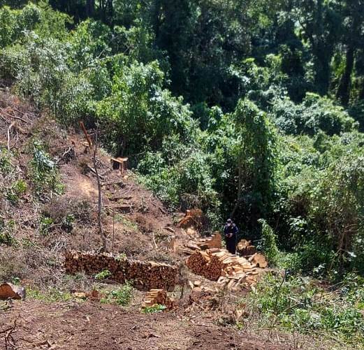 Fiscalía inspecciona el proyecto El Socorro; la desarrolladora se pronuncia