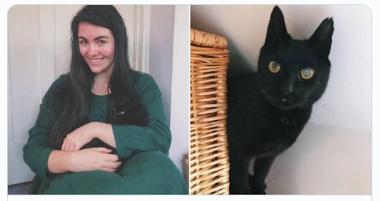 Un gato desaparece y 8 años después se reencuentra con su familia