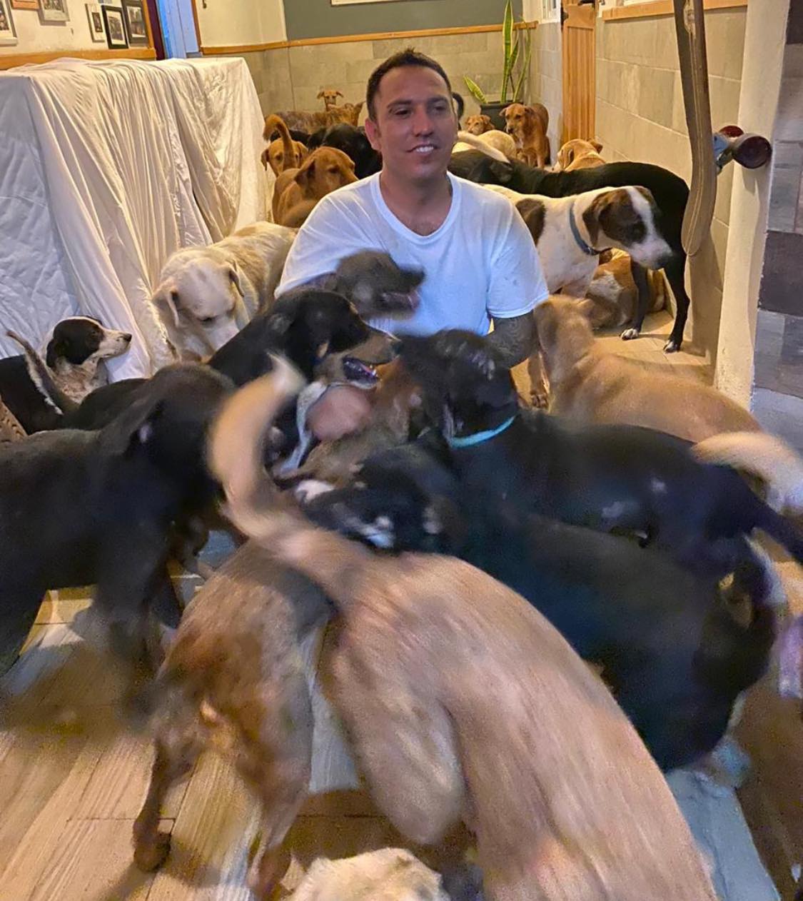 Ricardo Pimentel: El emotivo acto de un hombre que llevó a 300 perros, gatos y pollos, a su casa para protegerlos del huracán Delta