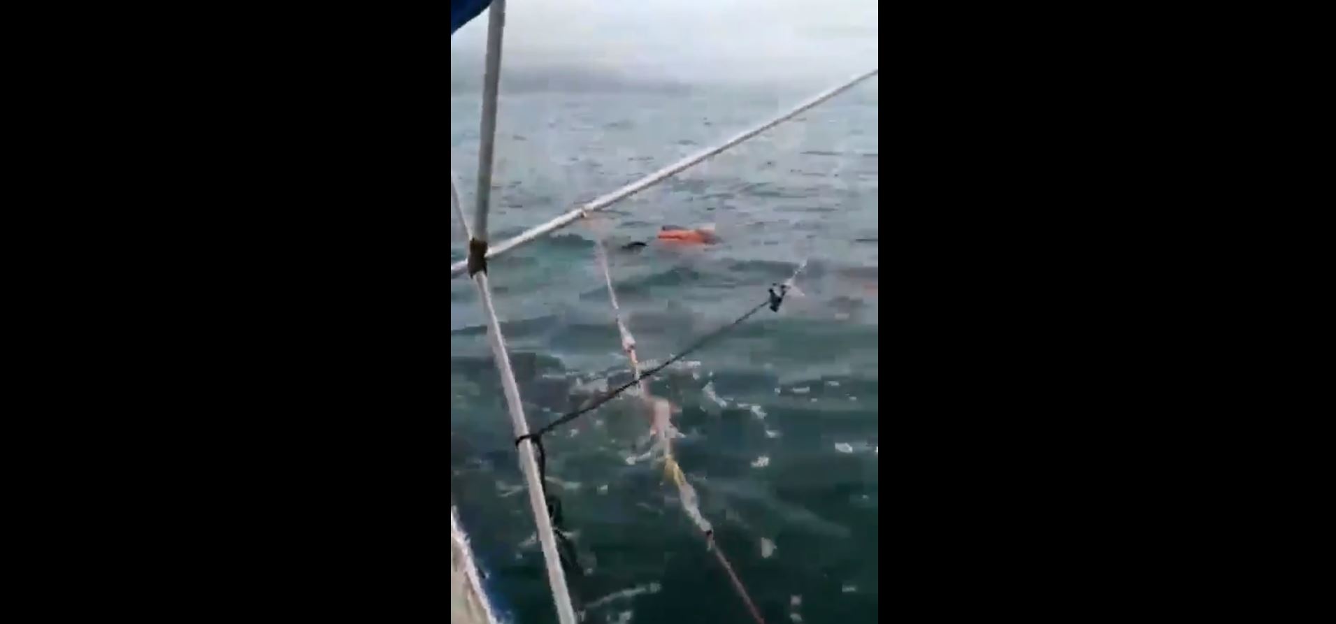 VIDEO: Encuentran viva y flotando en el mar a una mujer desaparecida hace dos años