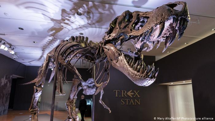 Subastan el esqueleto de un T-Rex por casi 32 millones de dólares en Nueva York