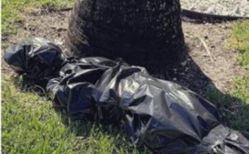Día de Halloween: los cuerpos envueltos en nailon de la “narcocultura” que indignan a México