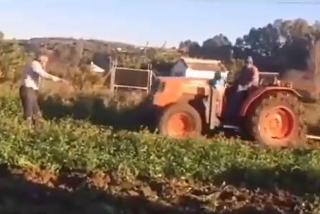 “¡Que no, Antonio!”: la discusión entre dos agricultores que conquista las redes