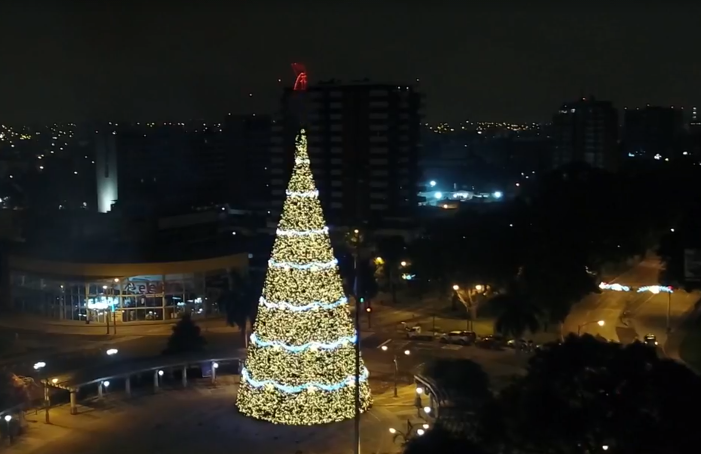 Se enciende la Navidad 2020 con el Árbol Gallo