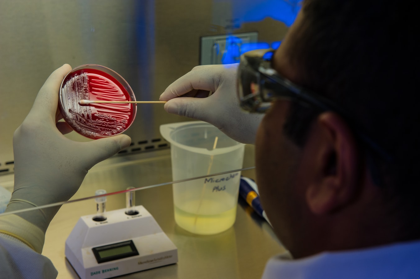 Descubren que bacterias pueden viajar entre continentes en polvo atmosférico