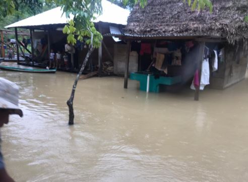 Cultivos, negocios, animales y sueños: las fuertes palabras de pobladores de Izabal que han perdido todo por las inundaciones por Iota