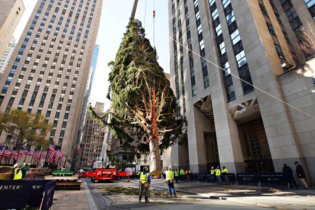 Se burlan del árbol del Rockefeller en Nueva York y esto dijeron los usuarios en redes