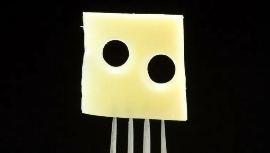 Coronavirus: la estrategia del queso suizo para protegerte de la covid-19