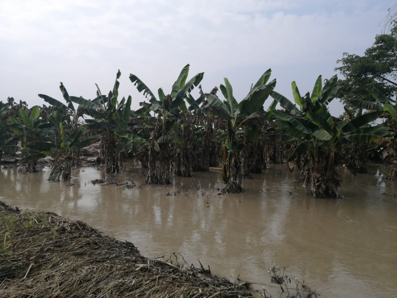 Tormenta Iota dejó muerte y destrucción en ocho departamentos