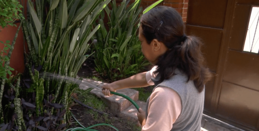 Trabajadoras domésticas