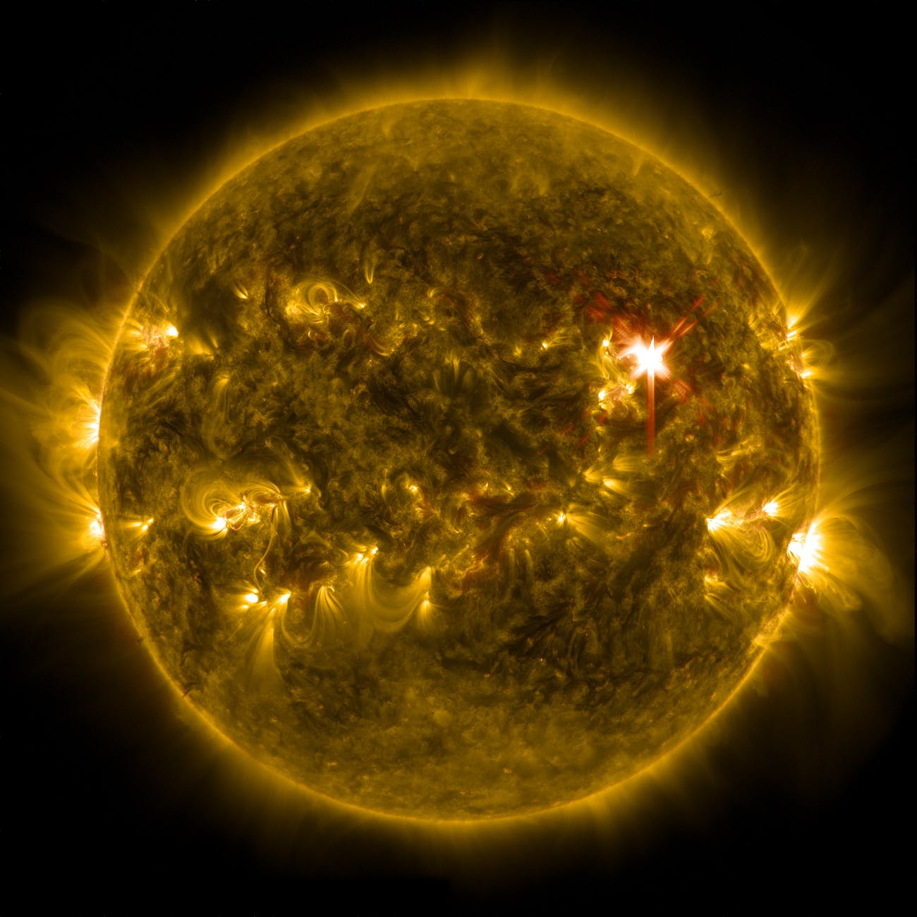 Proyecto que investiga vida extraterrestre detecta señal de radio procedente de una estrella cercana