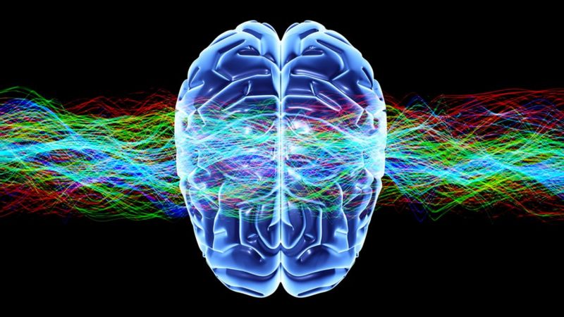 Qué es la androginia cerebral y qué beneficios podría tener
