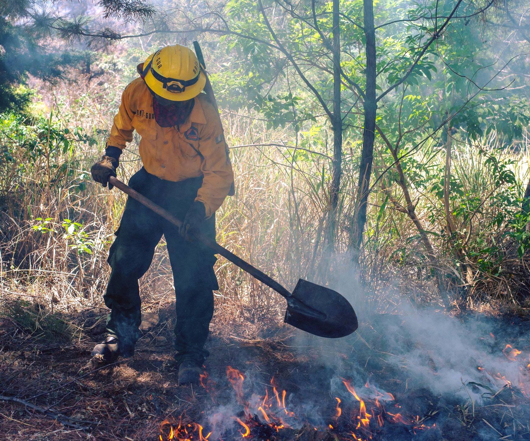 Temporada de incendios forestales está por comenzar en el país, la mayoría son provocados por mano humana