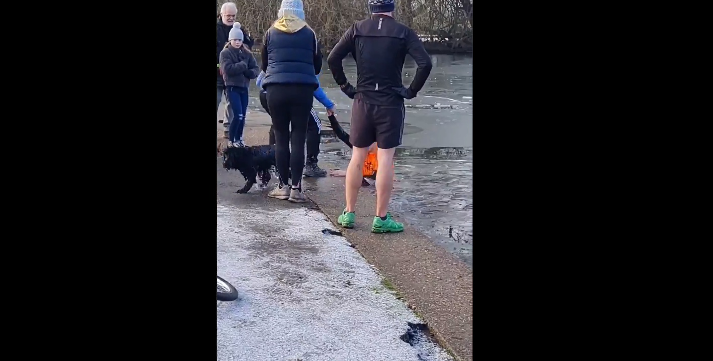 VIDEO: el agónico rescate de un perrito que quedó atrapado en un lago congelado