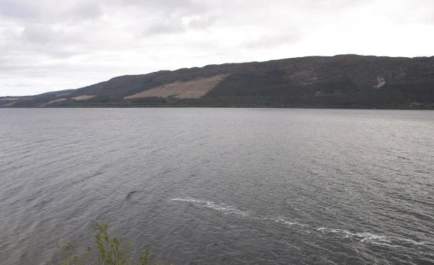 ¿Se terminó el misterio? Científico cree haber identificado qué es el monstruo del Lago Ness