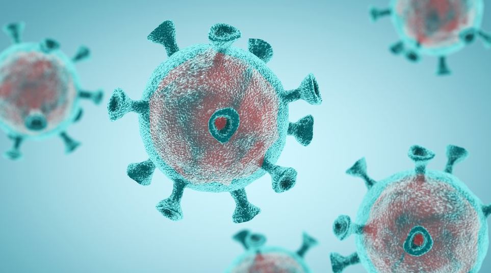 Molnupiravir, el fármaco experimental que podría contrarrestar la propagación del coronavirus