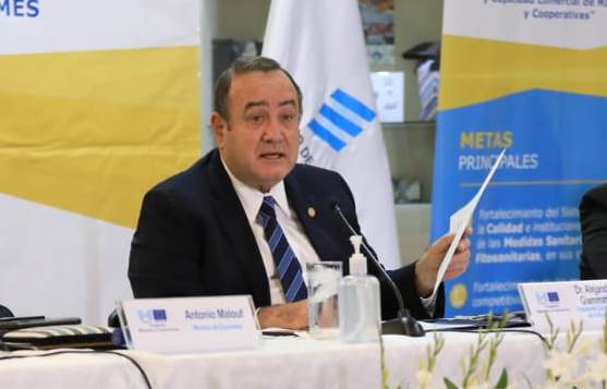 Alejandro Giammattei cuestiona investigación de Salud por las pruebas falsas