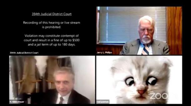 “No soy un gato”: abogado aparece con este divertido filtro en plena audiencia judicial