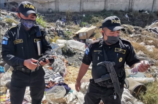 PNC rescata a dos cachorros abandonados en el vertedero de Amsa