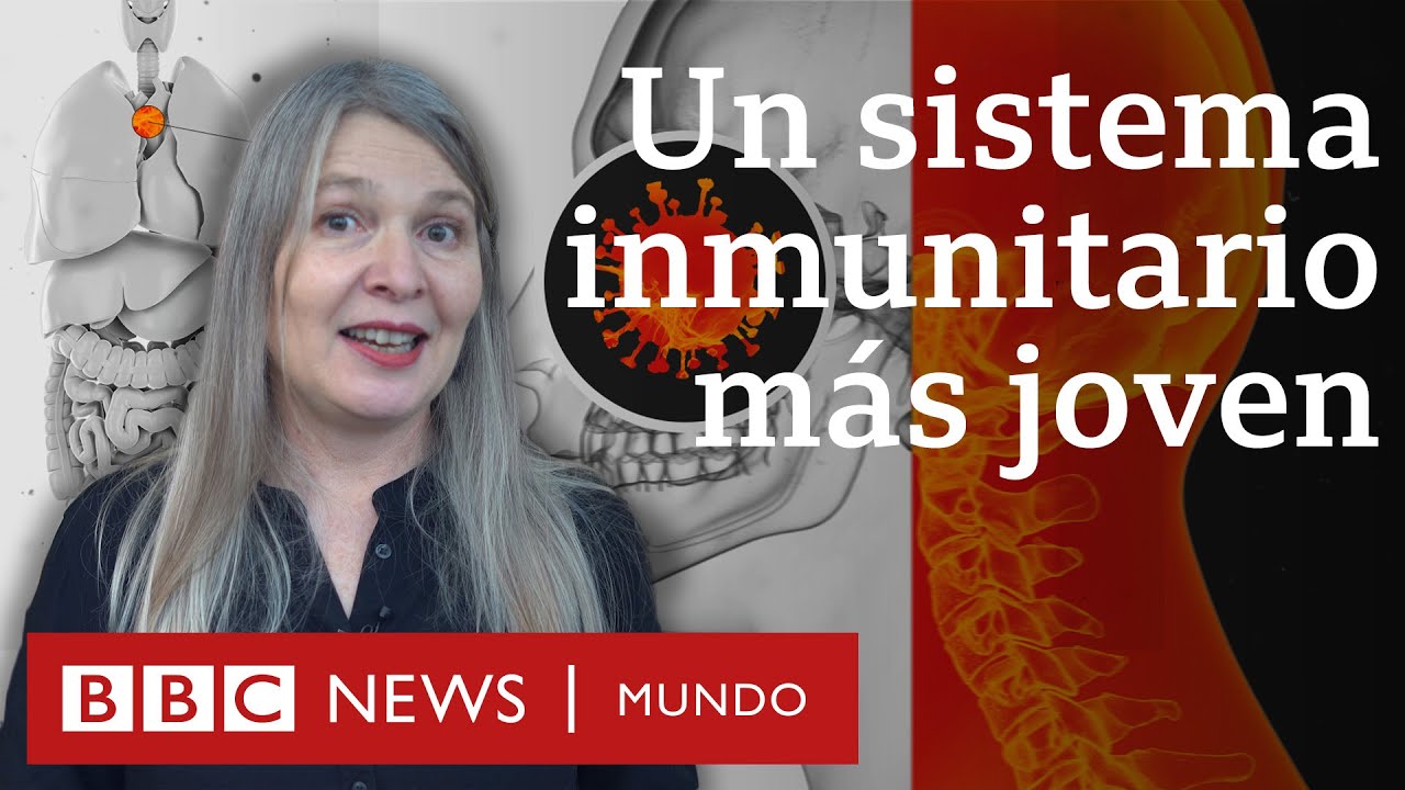 Cómo envejece el sistema inmunitario y qué puedes hacer para ralentizar este proceso
