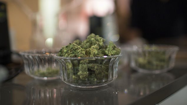 ONU advierte que se ha reducido temor de adolescentes a graves efectos de la marihuana