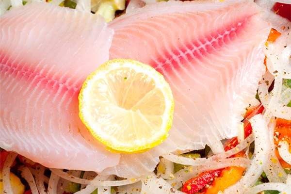 Sector acuicultura y pesca