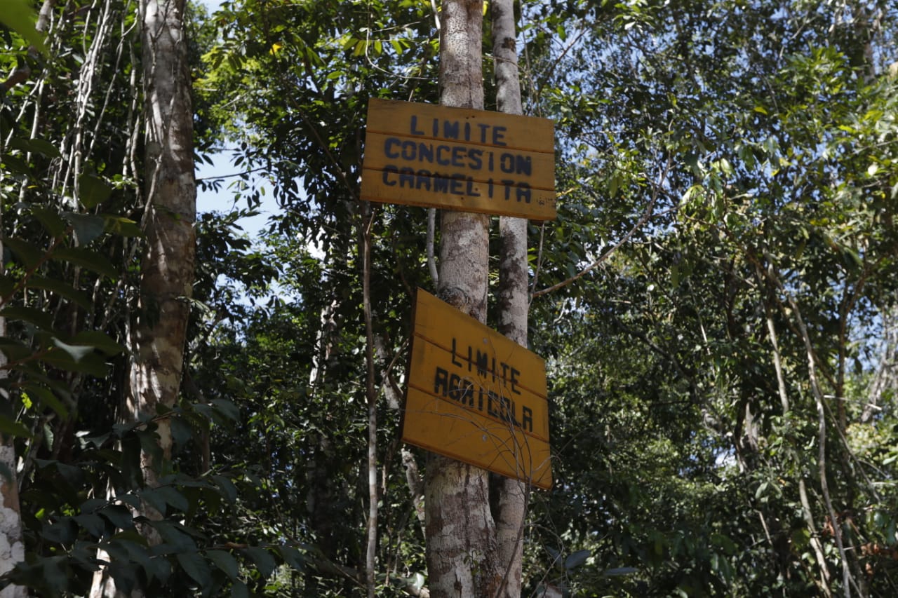 500 mil hectáreas: Prorrogan concesión para manejo del bosque a comunidades de Petén