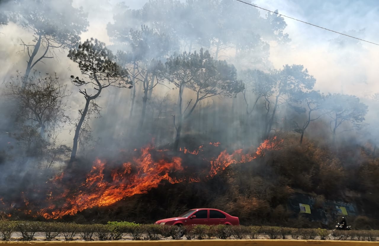 Incendio forestal destruye un área boscosa en la ruta al Pacífico y el tránsito se complica por el humo