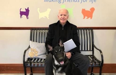 Major, el perro adoptado de Trump