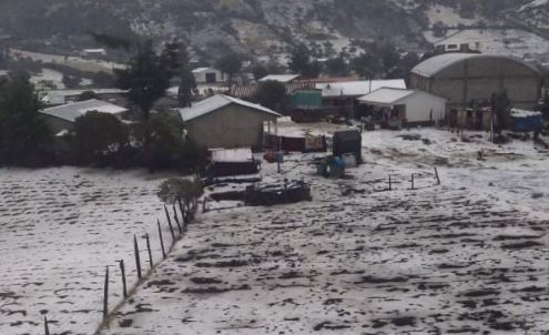Galería: campos de Los Cuchumatanes se tiñen de blanco por fuerte granizada