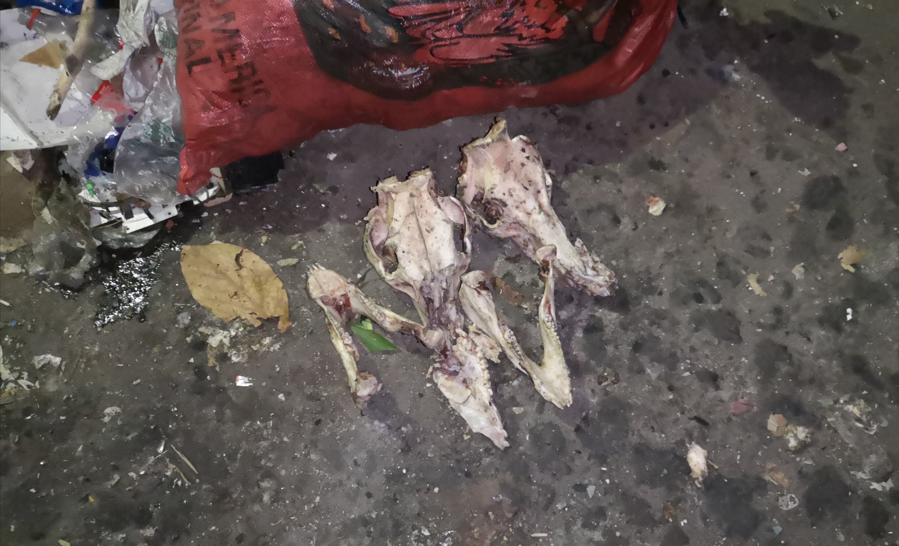 Vecinos de Retalhuleu descubren siete cráneos de perro y sospechan que carne sea utilizada en ventas de comida