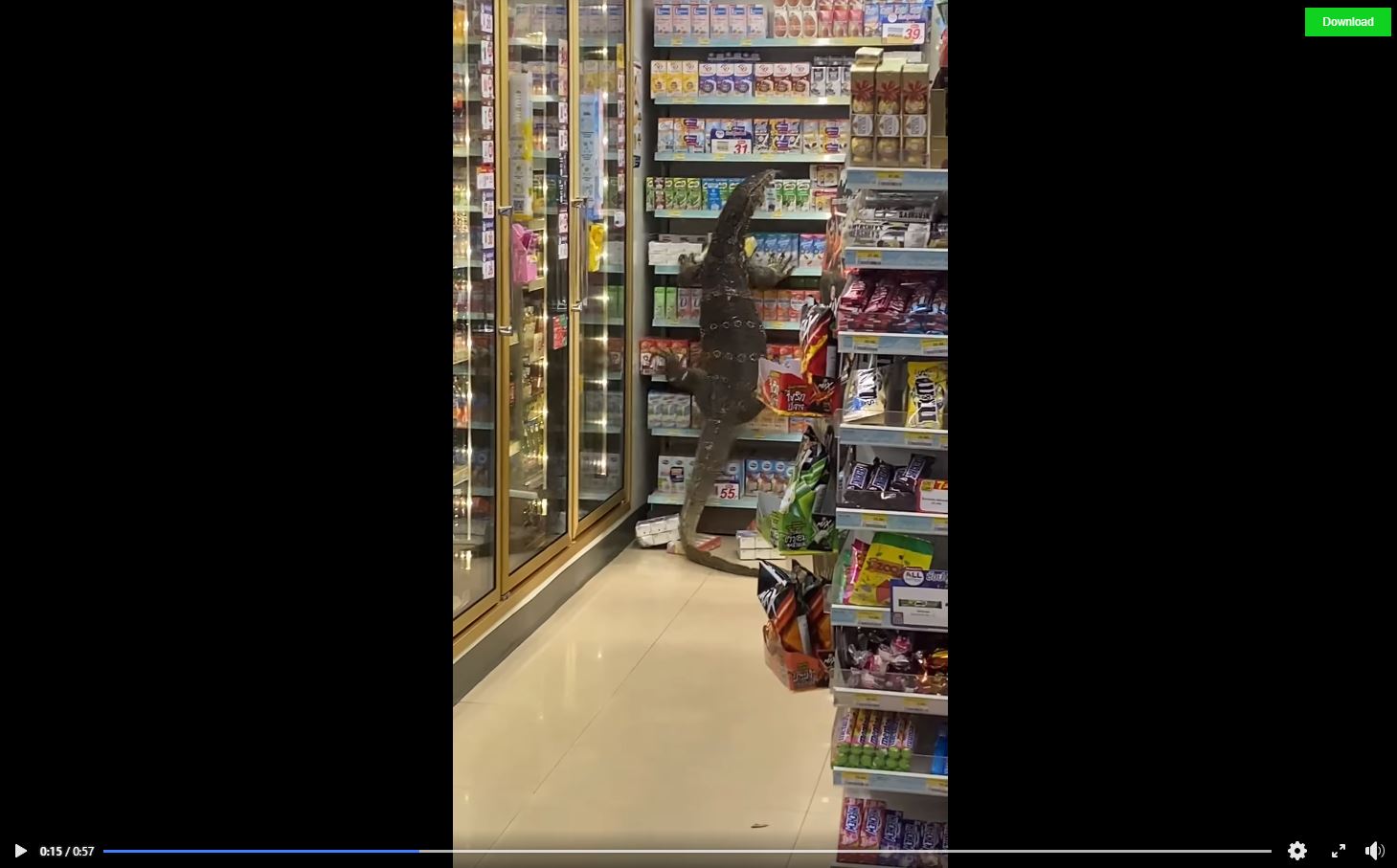 Pánico en supermercado: gigantesco reptil se cuela y aterroriza a los clientes