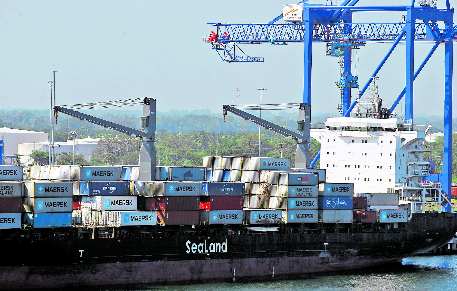 Informe Banco Mundial