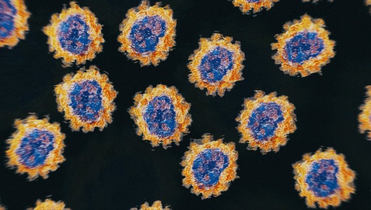 Vacunas contra el coronavirus: Por qué el SARS-CoV-2 lo tiene difícil para escapar de la inmunización